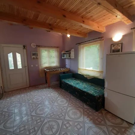 Apartment Slonik *